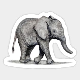 Elephant Sticker